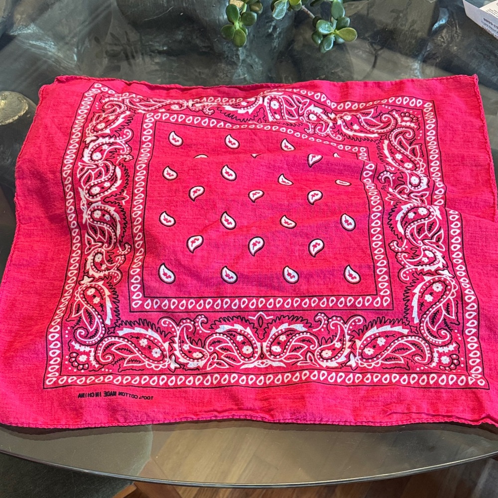 Colorful Bandana Set - Picture 4 of 4
